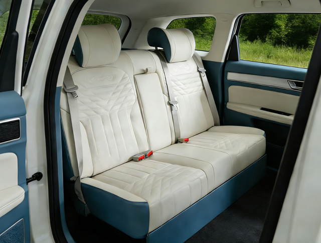 luxury car back seat (5)