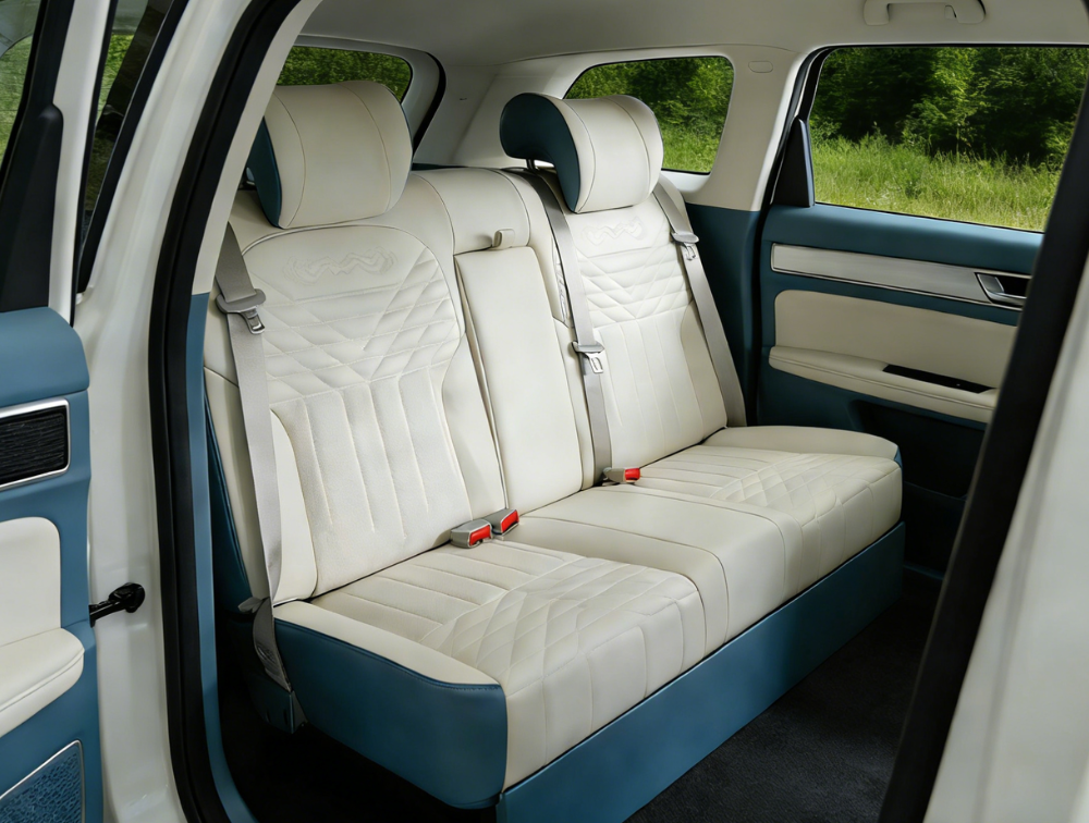 luxury car back seat (5)