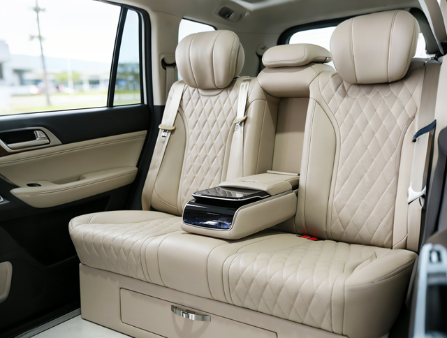 Rear Seat Car (5)