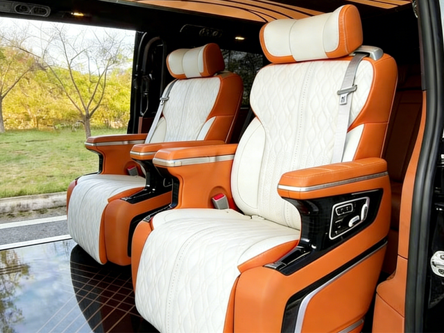 Luxury Car Seat (1)