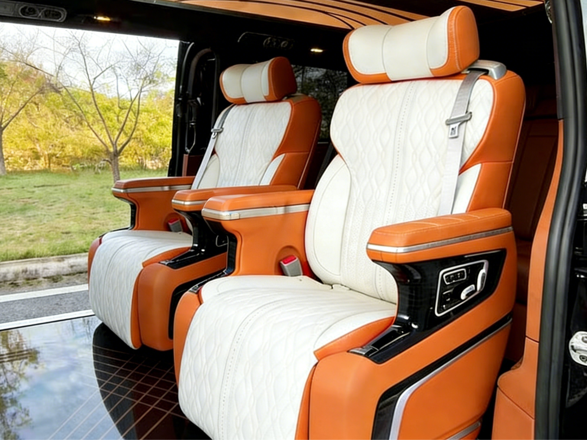 Luxury Car Seat (1)