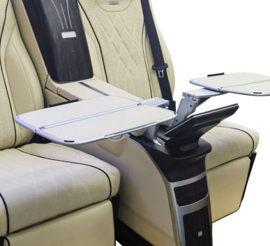 Luxury Back Seat Car (3)