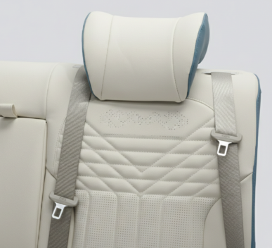 luxury car back seat (3)