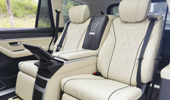 Luxury Back Seat Car (2)