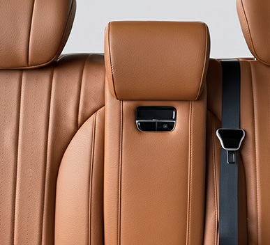 Luxury Seats Rear (3)