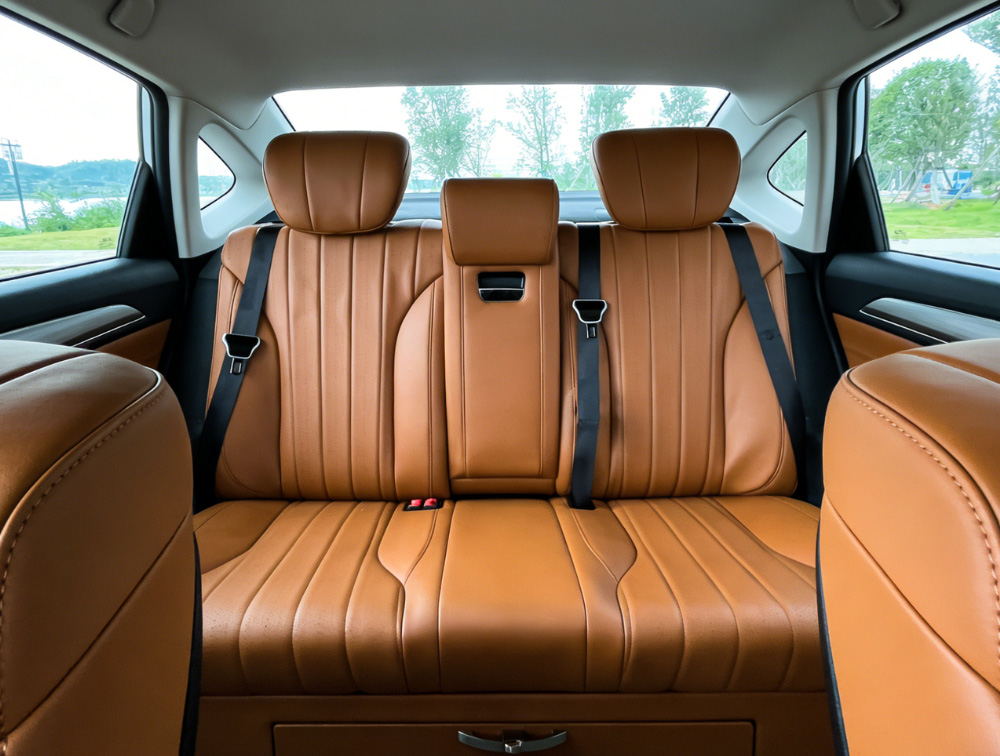 Luxury Seats Rear (1)