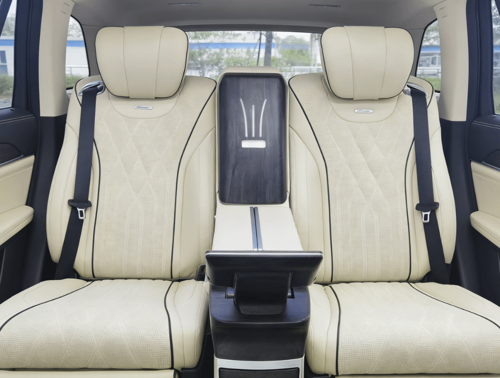 Luxury Back Seat Car (1)