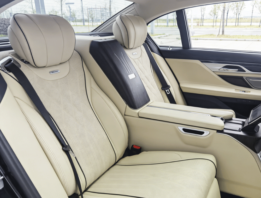 Luxury Back Seat Car (5)